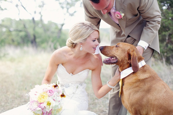 Hochzeit-Hund