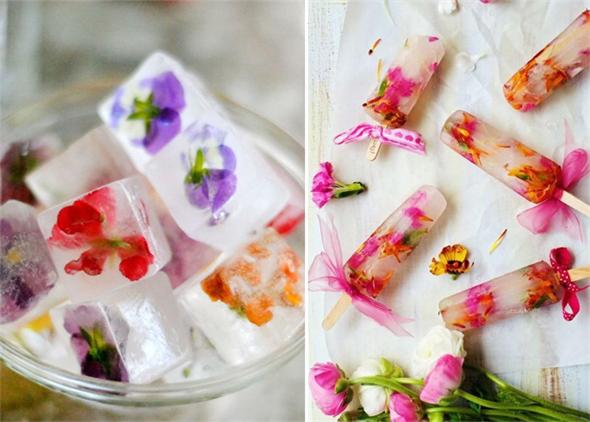 Ice-Cubes-and-Ice-Lollies